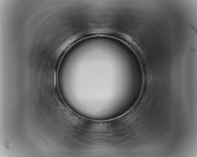 X0000102261221200808011357