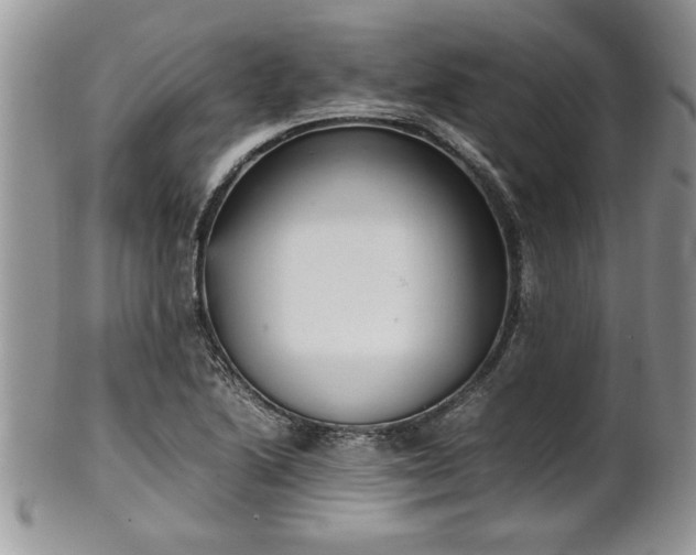 X0000102261222200808011357