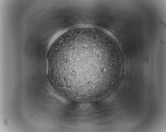 X0000102261223200808011357