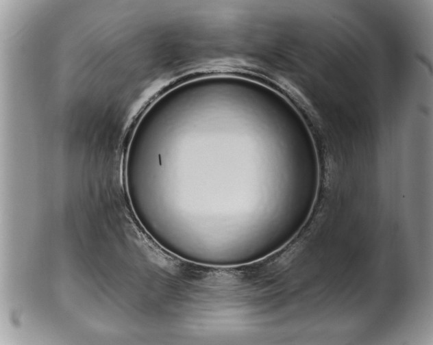 X0000102261224200808011357