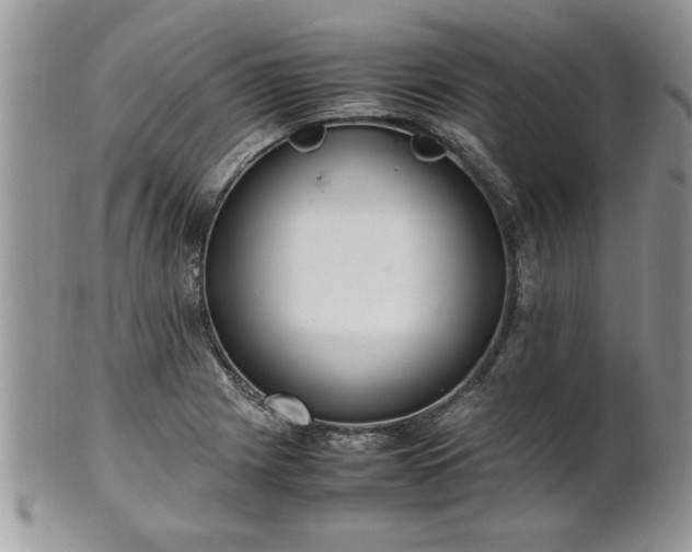 X0000102261225200808011357