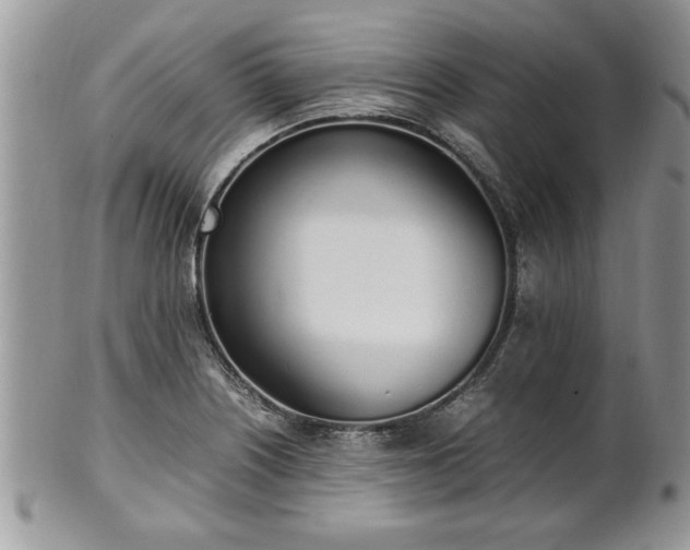 X0000102261226200808011357