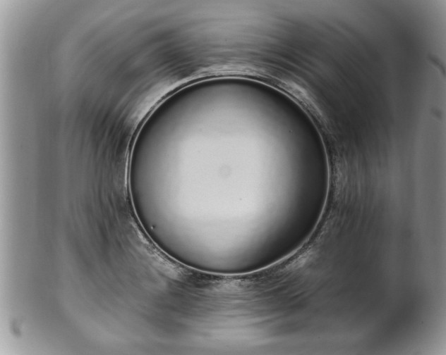 X0000102261228200808011357