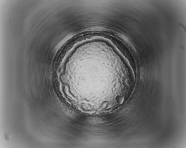 X0000102261229200808011357