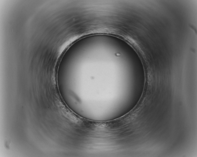 X0000102261230200808011357