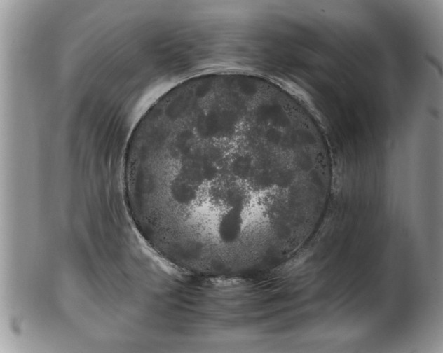 X0000102261231200808011357