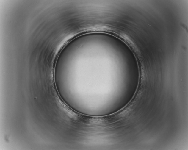 X0000102261232200808011357