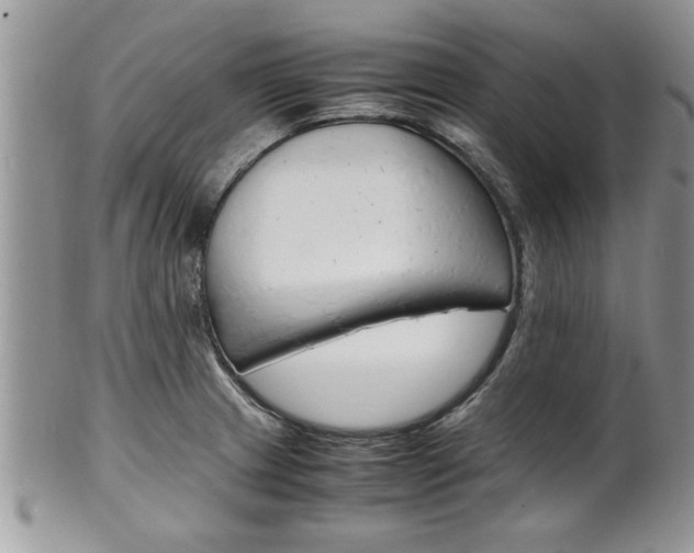 X0000102261233200808011357