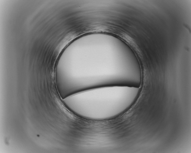 X0000102261234200808011357