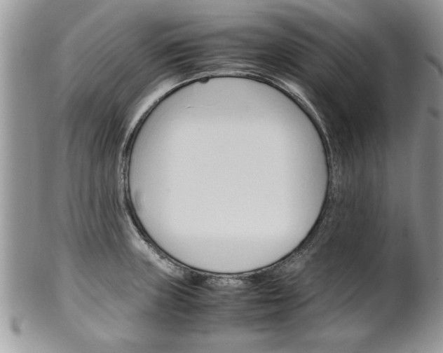 X0000102261235200808011357