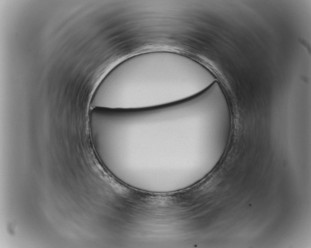 X0000102261236200808011357