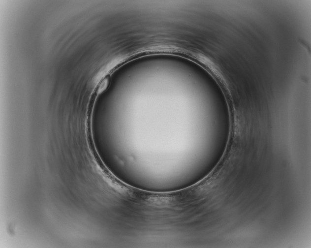 X0000102261237200808011357