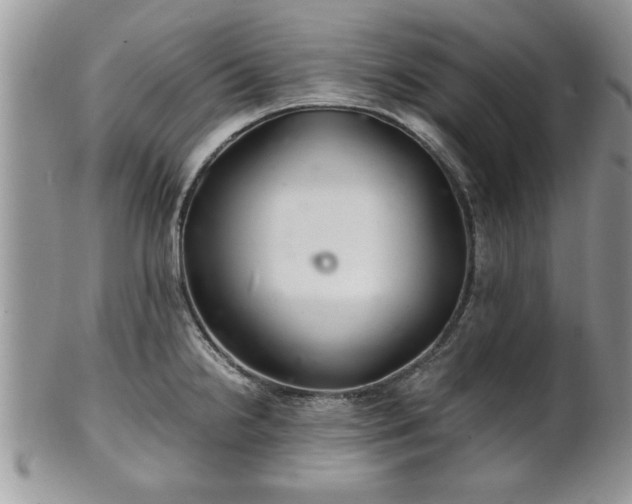 X0000102261238200808011357