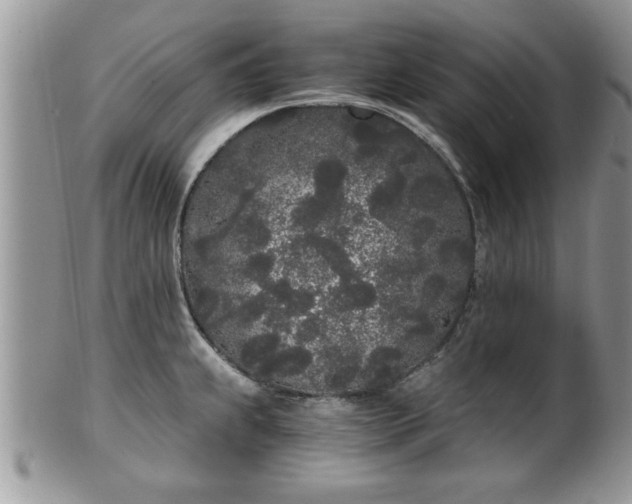 X0000102261239200808011357