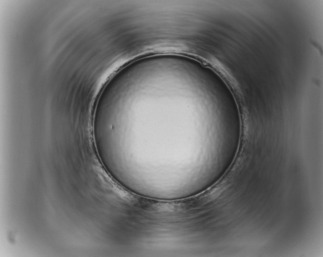 X0000102261240200808011357