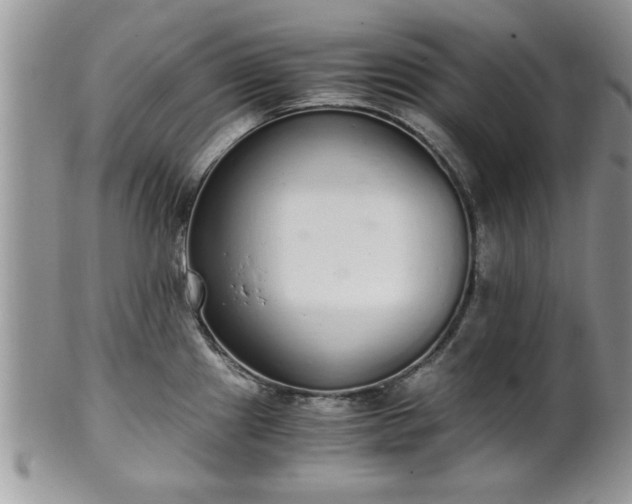 X0000102261241200808011357