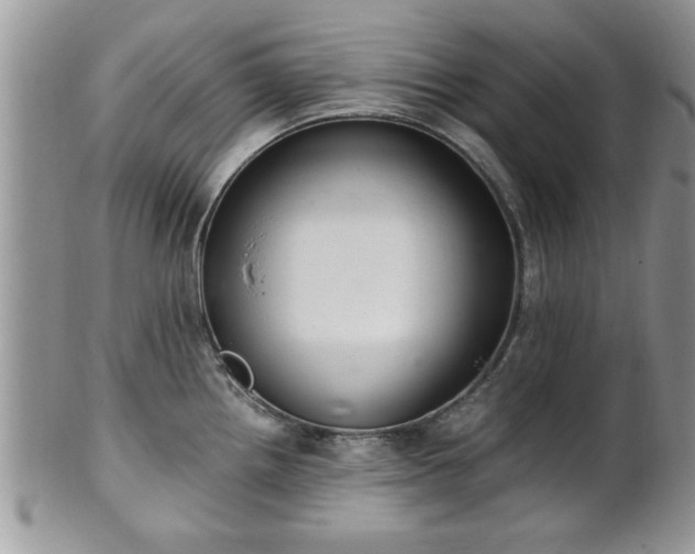 X0000102261242200808011357