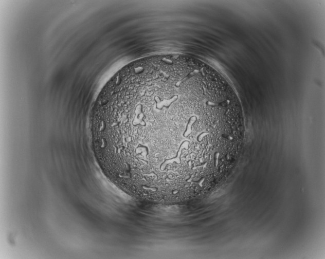 X0000102261243200808011357