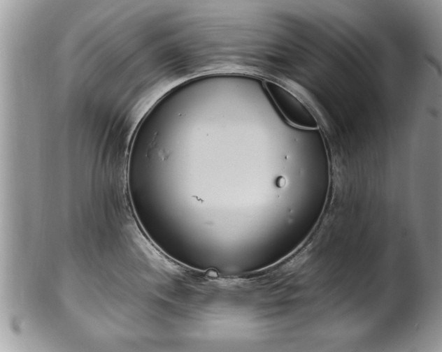 X0000102261244200808011357