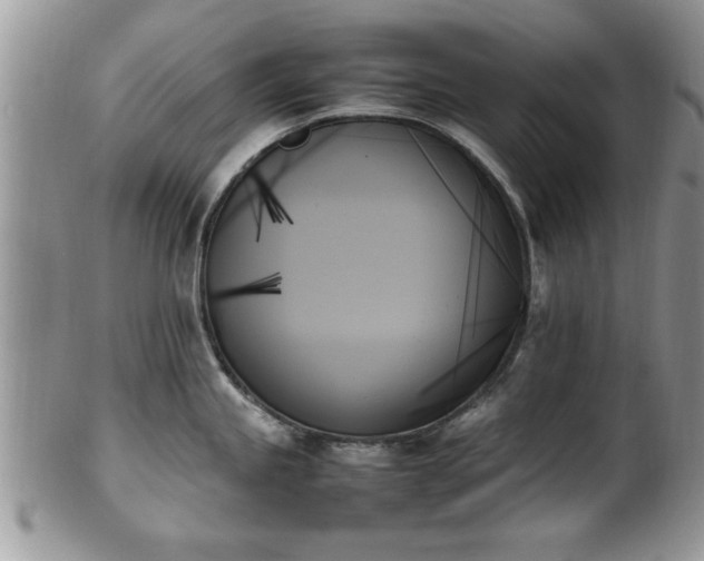 X0000102261245200808011357