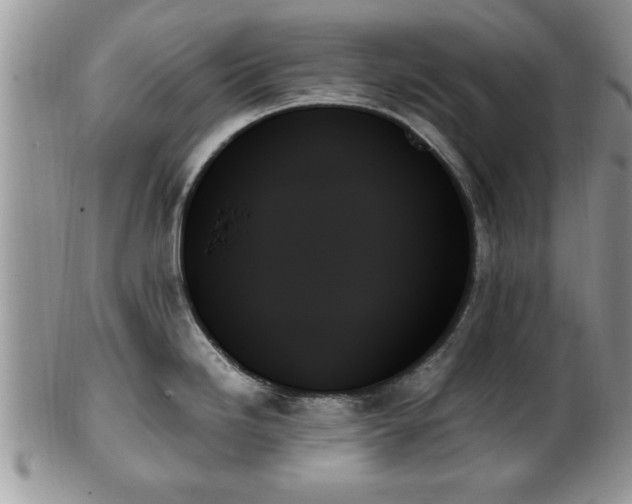 X0000102261246200808011357