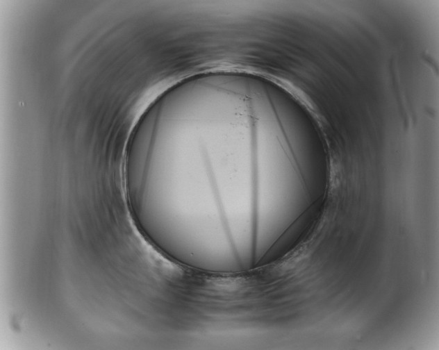 X0000102261247200808011357