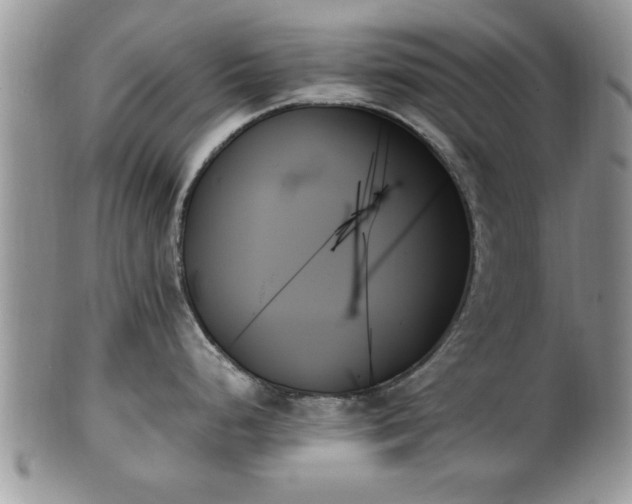 X0000102261248200808011357