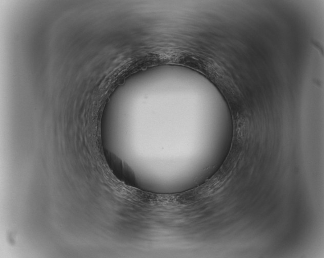 X0000102261249200808011356