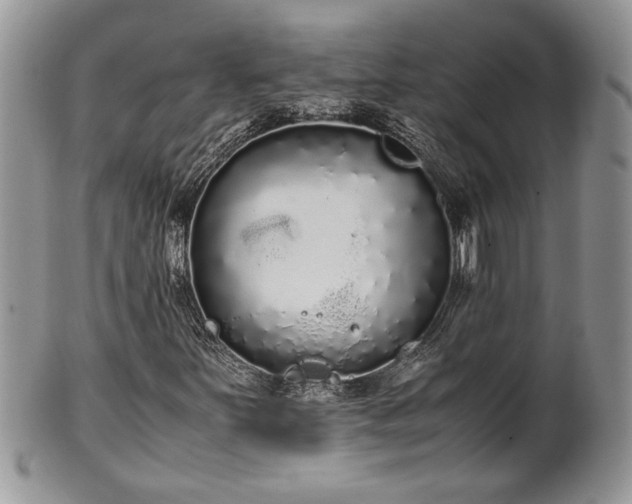 X0000102261251200808011356