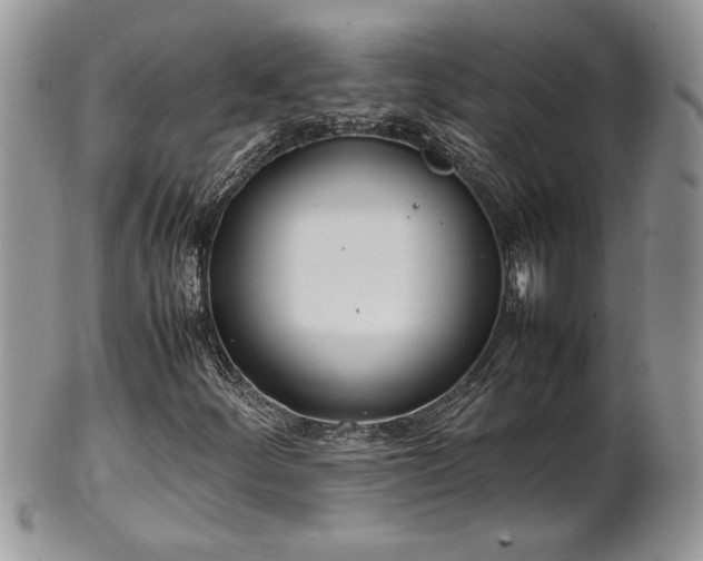 X0000102261252200808011356