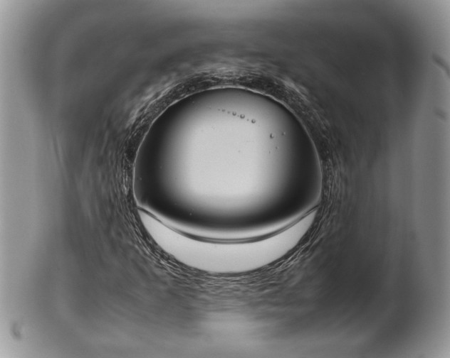 X0000102261253200808011356