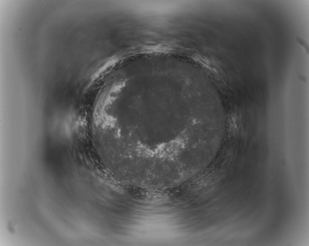 X0000102261254200808011356