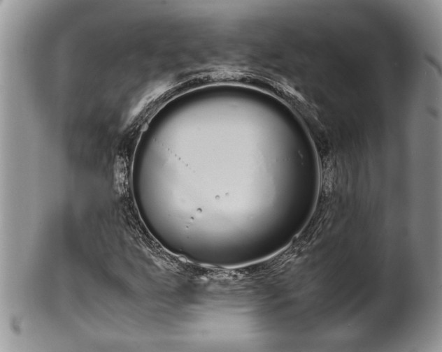 X0000102261255200808011356