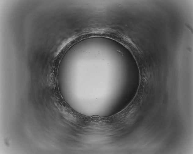 X0000102261256200808011356