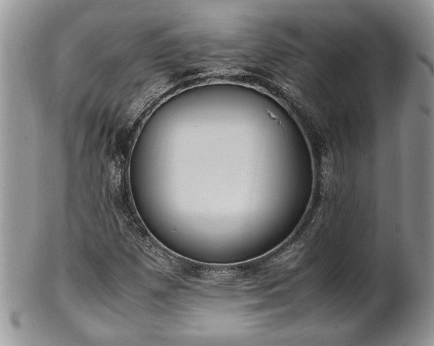 X0000102261257200808011356