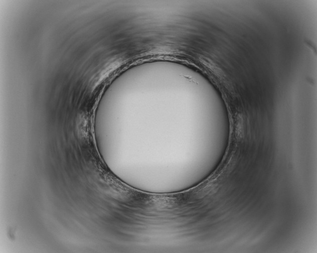 X0000102261258200808011356