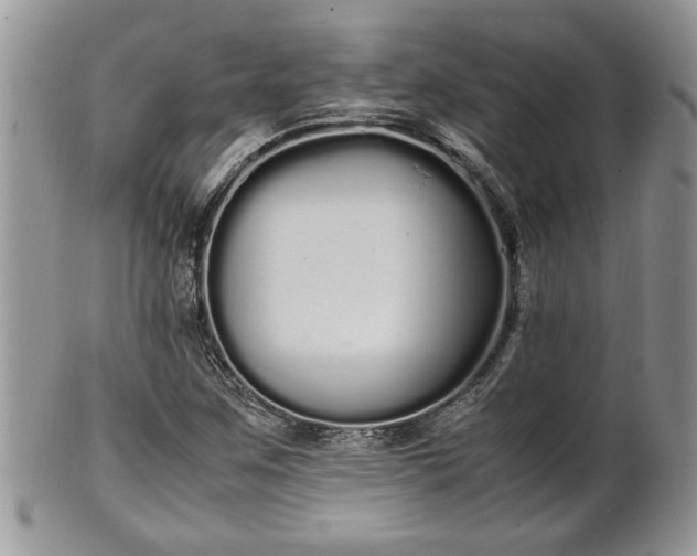 X0000102261259200808011356