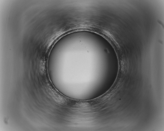 X0000102261260200808011356