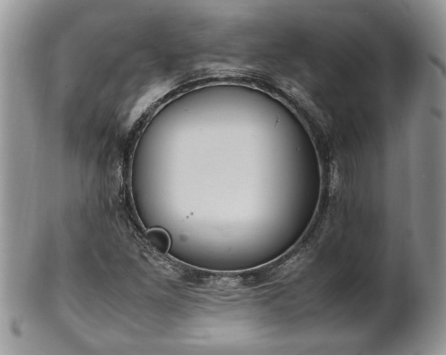 X0000102261261200808011356