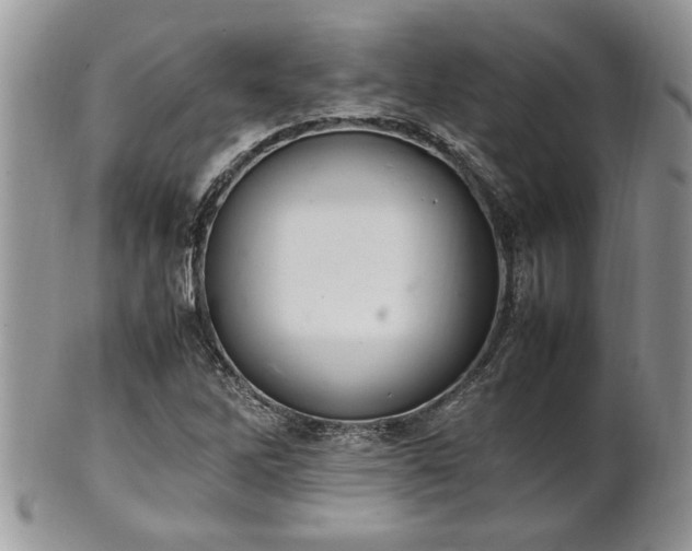 X0000102261262200808011356