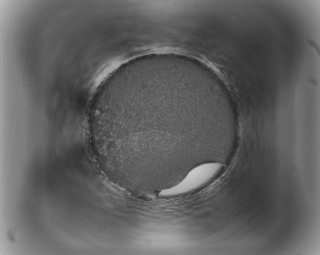 X0000102261263200808011356