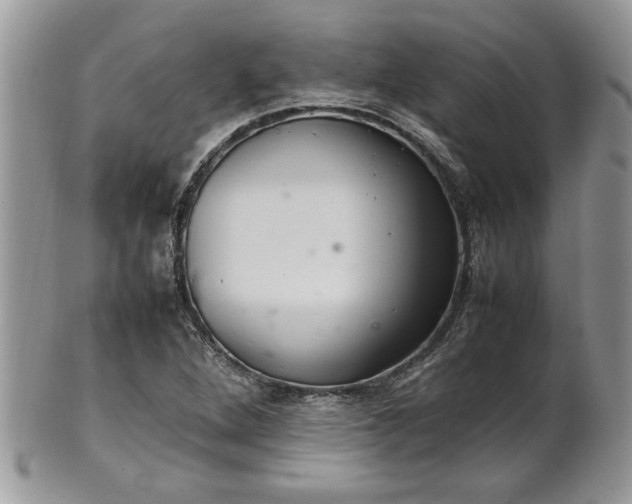 X0000102261264200808011356