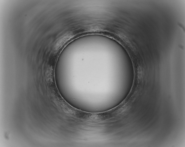 X0000102261265200808011356