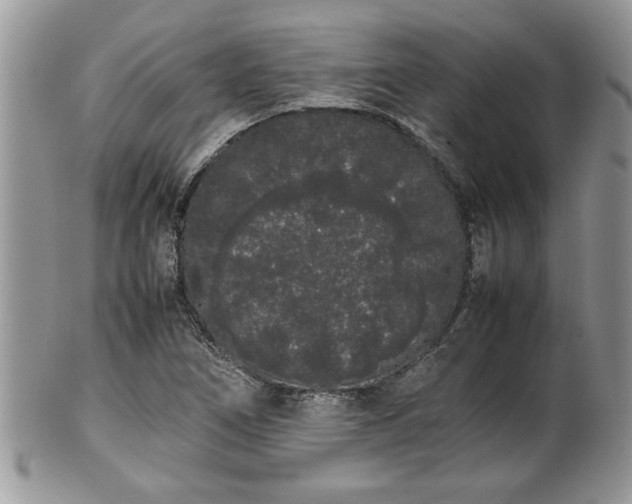 X0000102261266200808011356