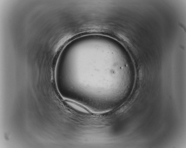 X0000102261267200808011356