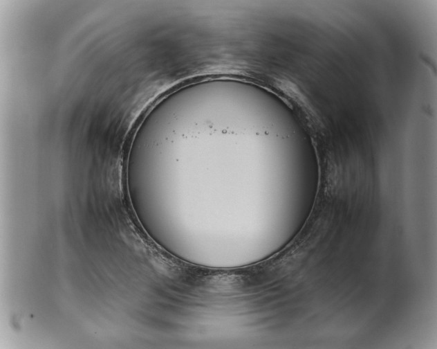 X0000102261268200808011356