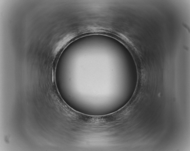 X0000102261269200808011356