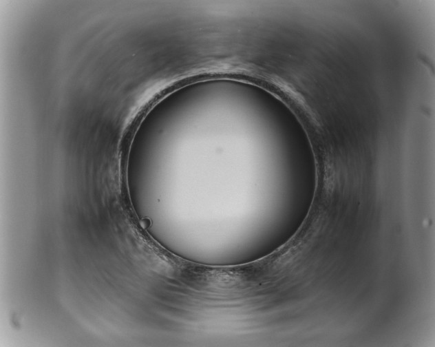 X0000102261270200808011356