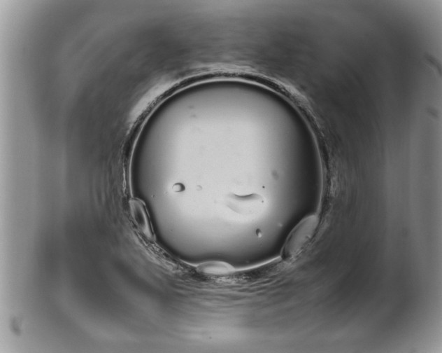 X0000102261271200808011356