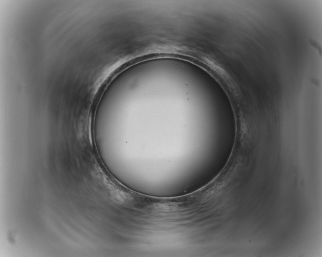 X0000102261272200808011356